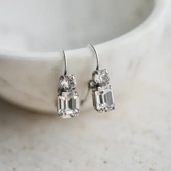 Rachel Marie Braelyn Crystal Drop Earring